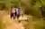 Parque Ludiano by OUTLIFE: Ticket diario para trekking en Quillota, Chile