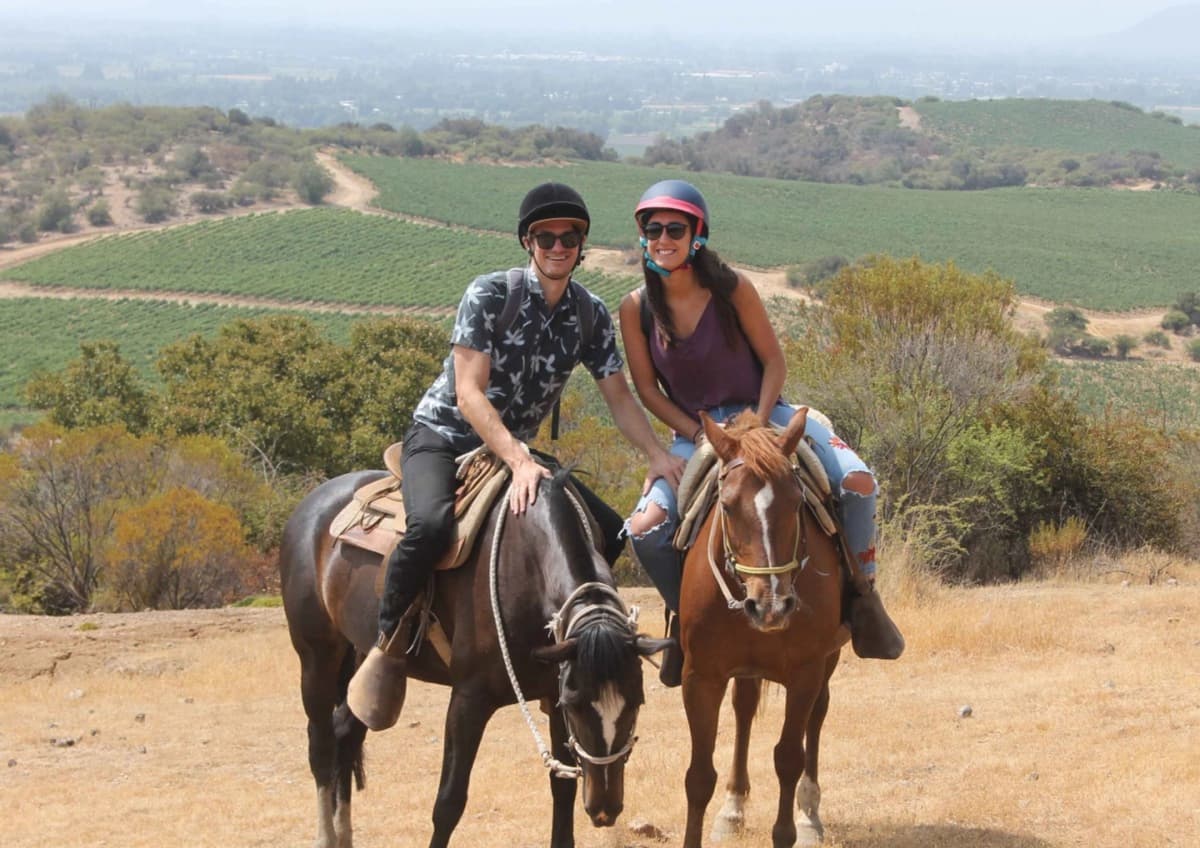Cabalgata y Degustación en Viña MontGras: Vinos y Paisajes de Colchagua