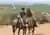 Cabalgata y Degustación en Viña MontGras: Vinos y Paisajes de Colchagua