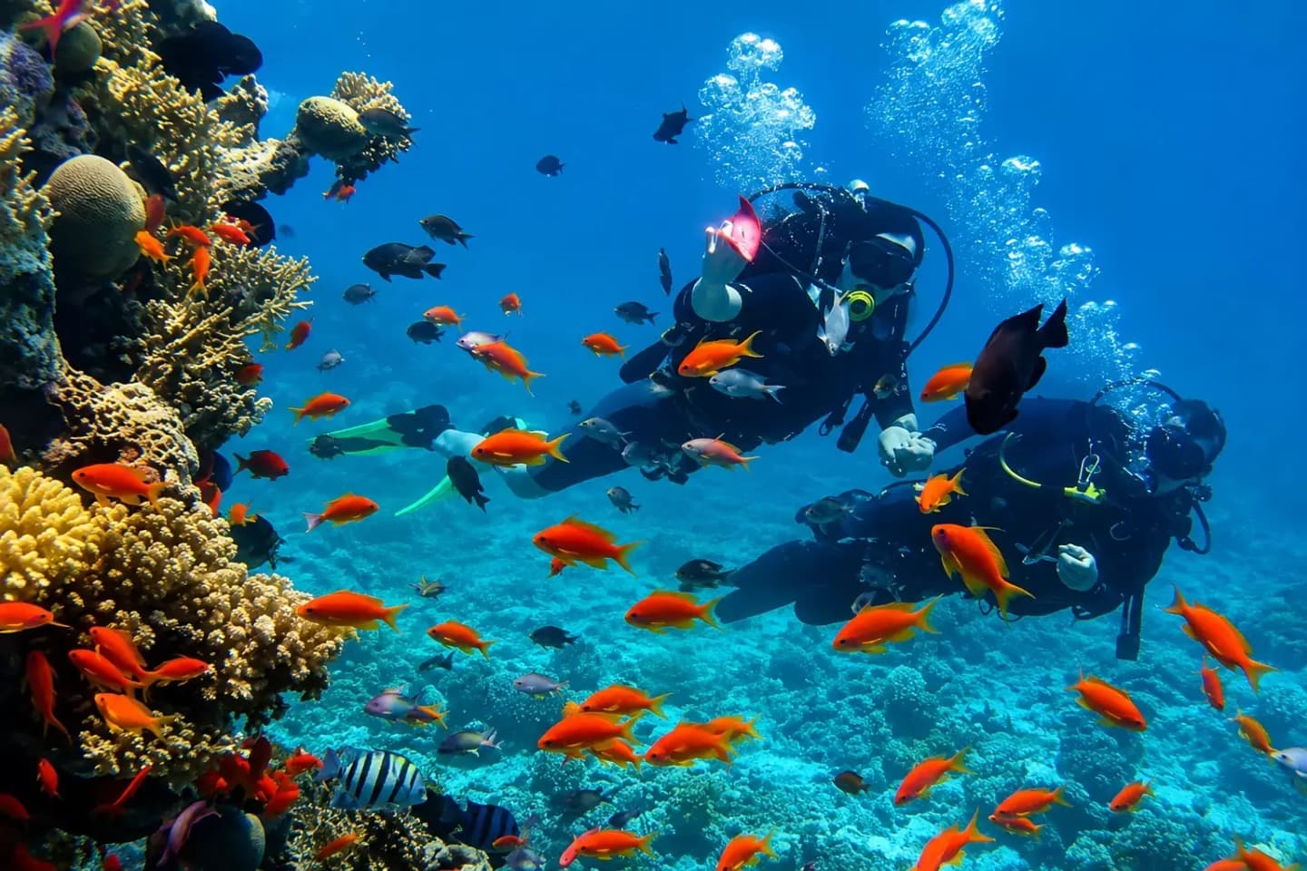 Mini curso de buceo en Playa Blanca Barú 