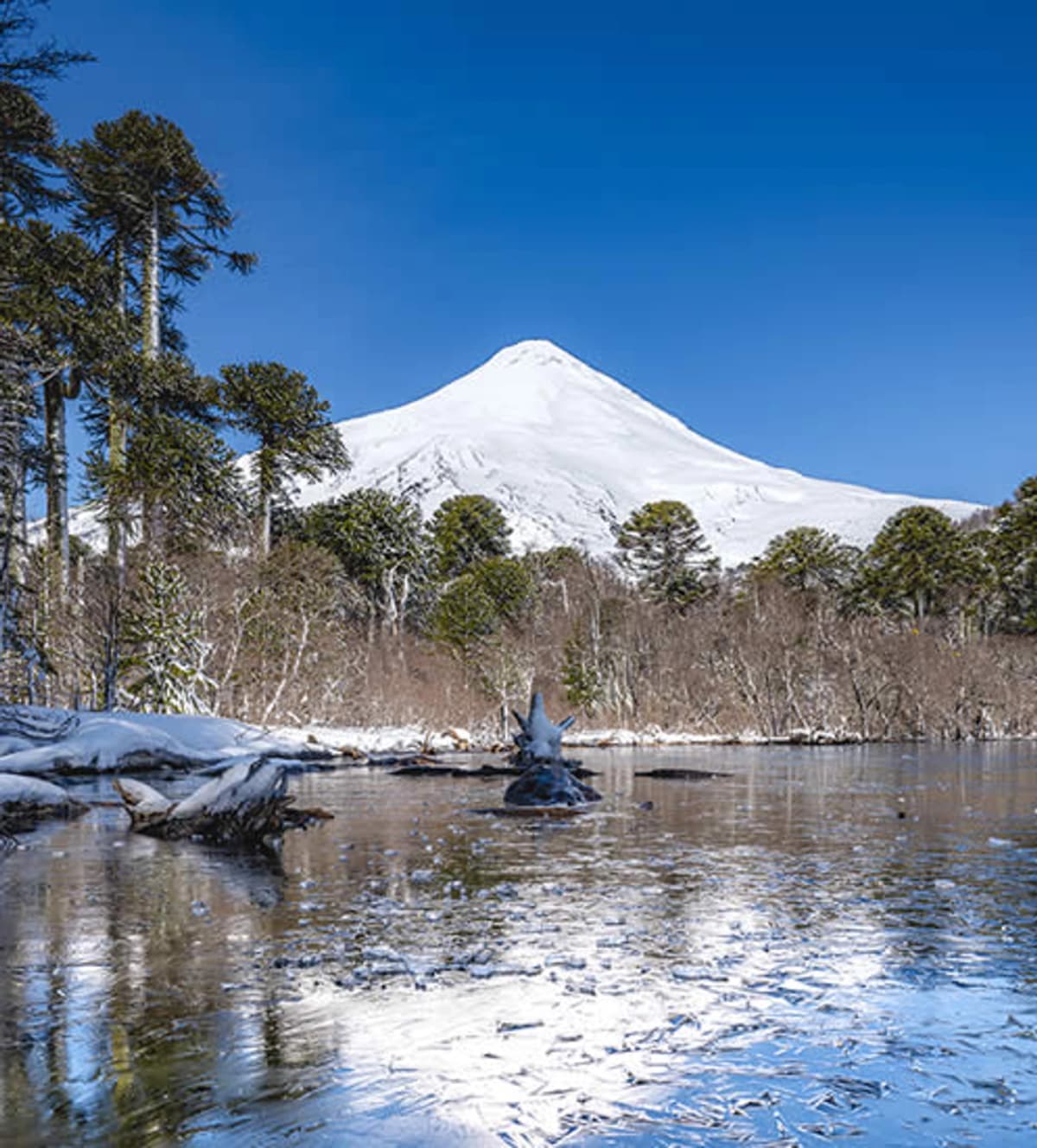 Entrada Parque Nacional Villarrica Sur