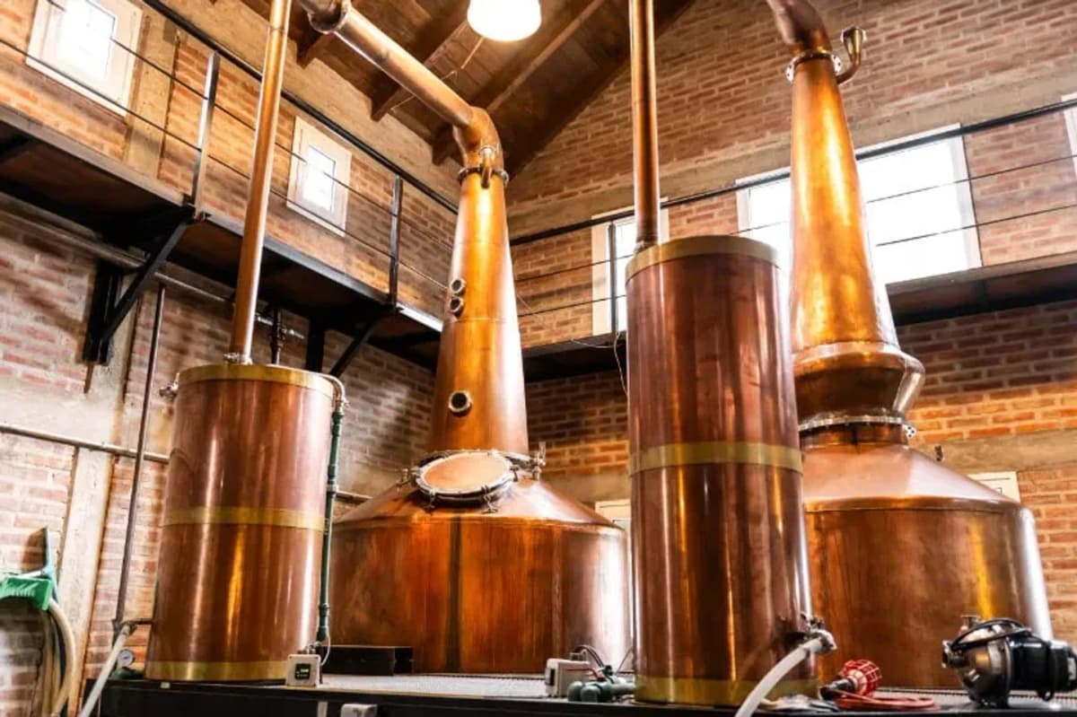 Visita a Destilería Artesanal Patagónica: Vermut, Whisky y Gin