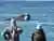 Avistaje Costero de Ballenas Francas en el Área Natural El Doradillo