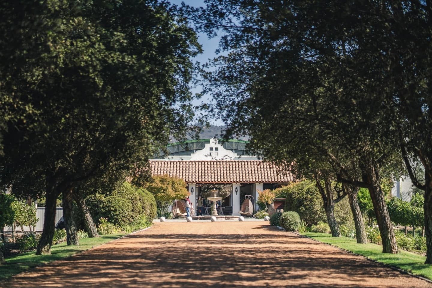 Wine Tour at Casas del Bosque in Casablanca with Iconic Wine Tasting
