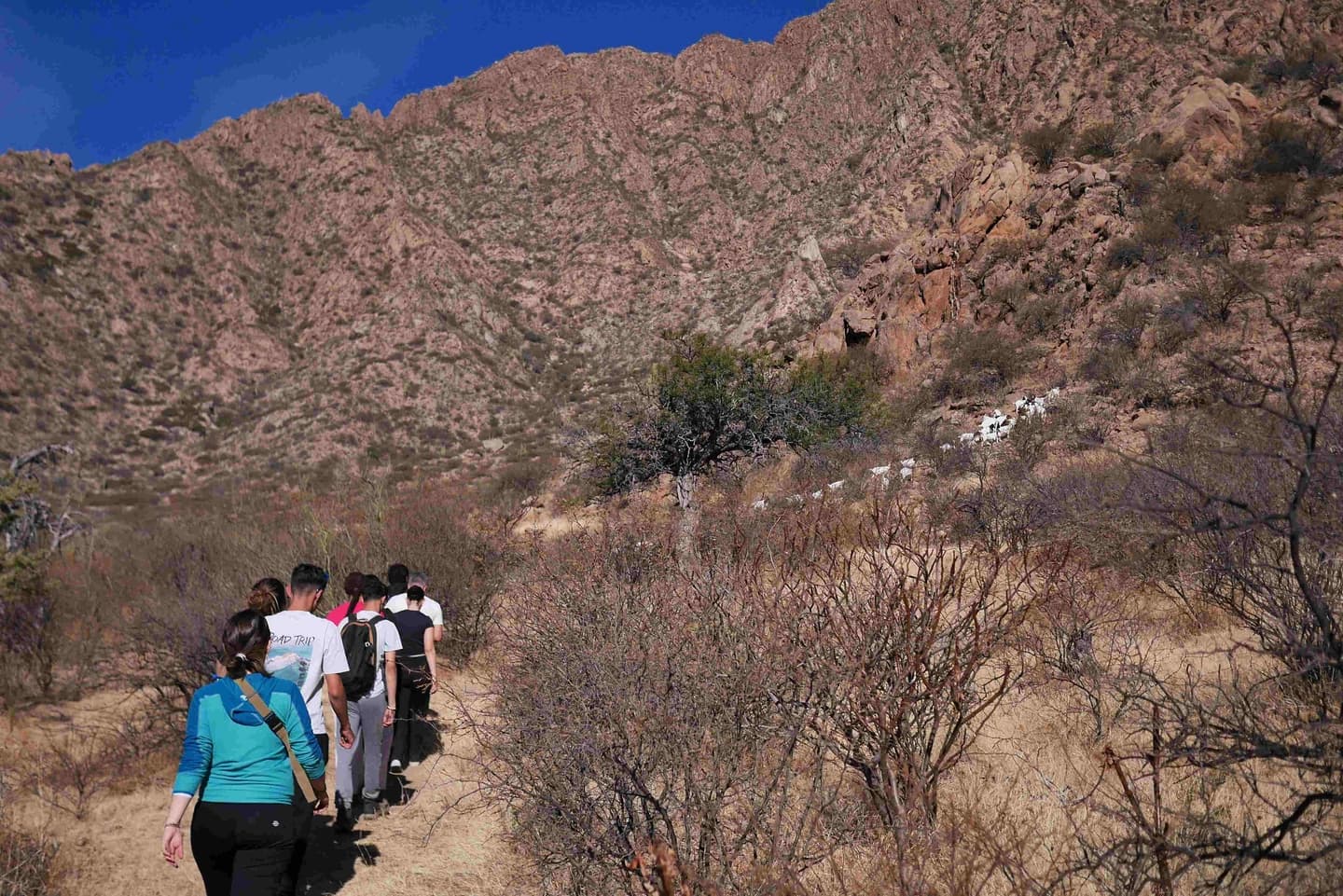 Senderismo Interpretativo Cultura Diaguita-Calchaquí en Cafayate