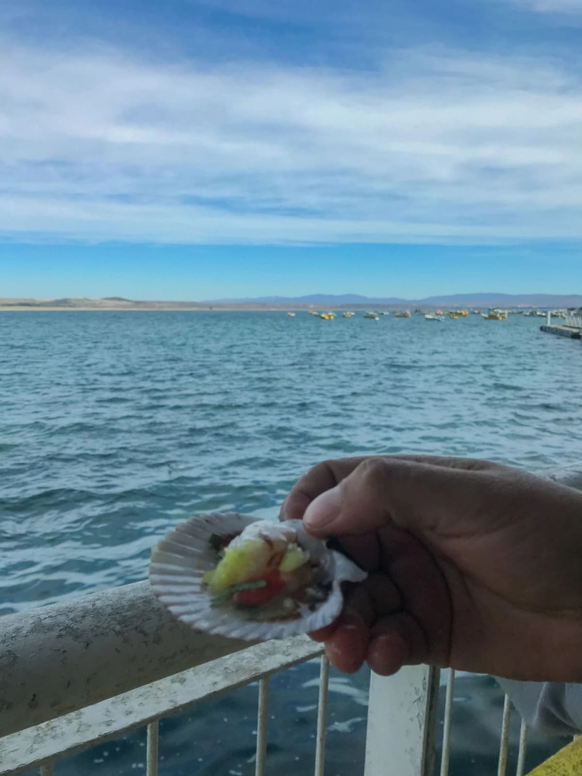 Trazos de Historia recorre la Ruta Patrimonial: Del Valle de Elqui a la Costa