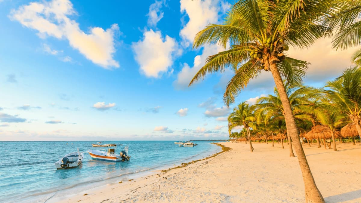 Snorkeling Tour with Sea Turtles in Akumal from Riviera Maya