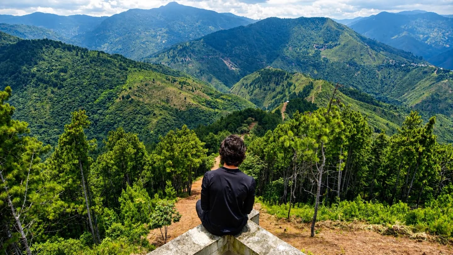 Tour Bosque de Pinos en Pichindé con Caminata Guiada desde Cali