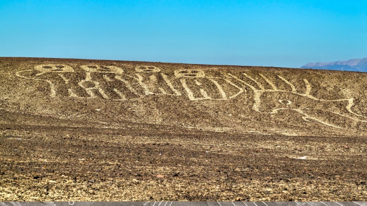 Sobrevuelo en avioneta por las Líneas de Nazca en Perú