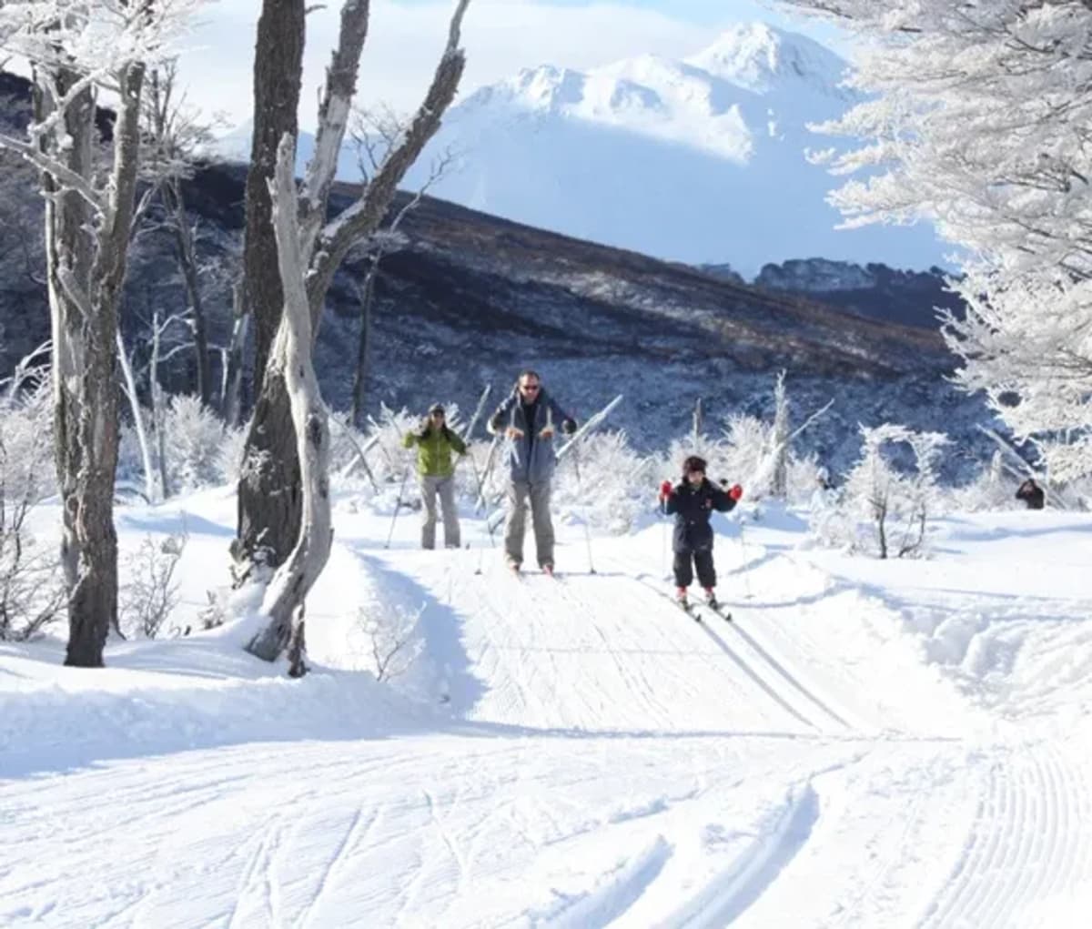 Full Snow: Skiing, Sledding, Snowshoeing, and Snow Cat