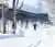 Full Snow: Skiing, Sledding, Snowshoeing, and Snow Cat