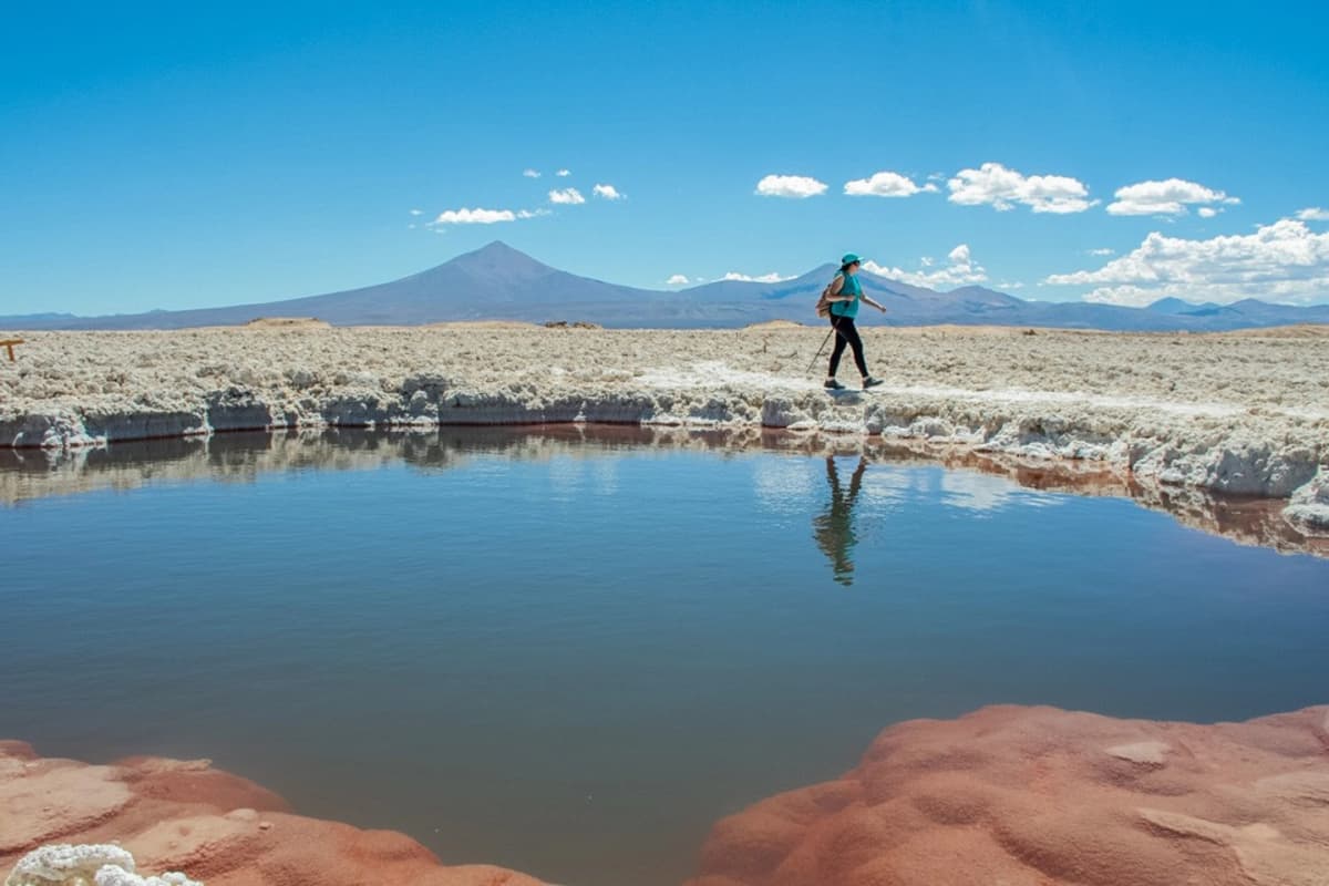 Route of the Salt Flats: Discover Pedernales and Maricunga in Atacama