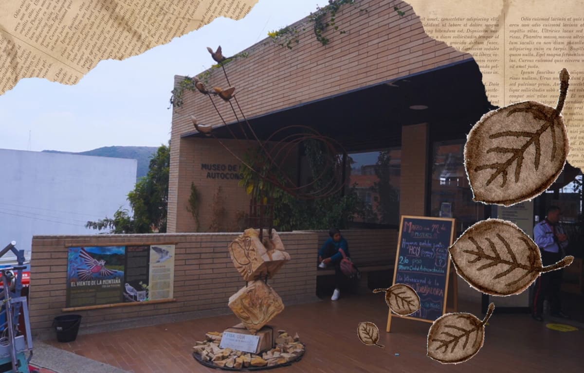 Visita cultural: La visita autoconstruida