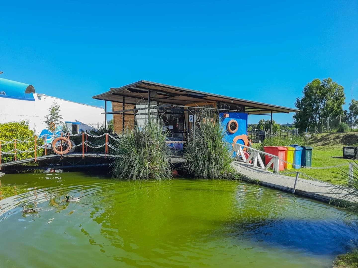 Parque Acuario Puyehue: Recorrido Guiado y Actividades al Aire Libre