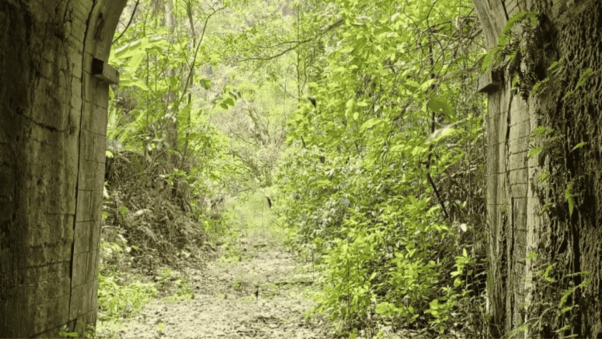 Sendero del antiguo tren del Bosque Atlántico