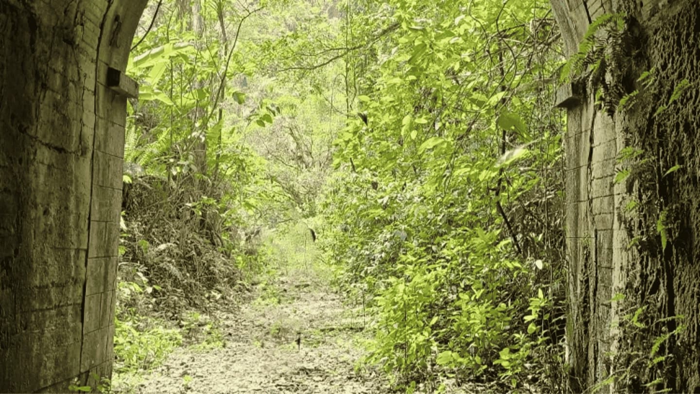 Sendero del antiguo tren del Bosque Atlántico