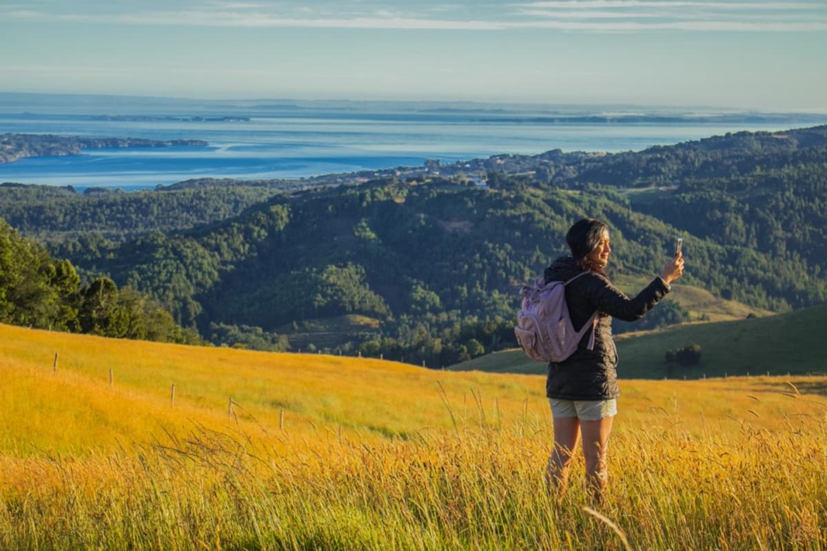 Explora los secretos de Chiloé en el Parque Mawünko: Caminata guiada