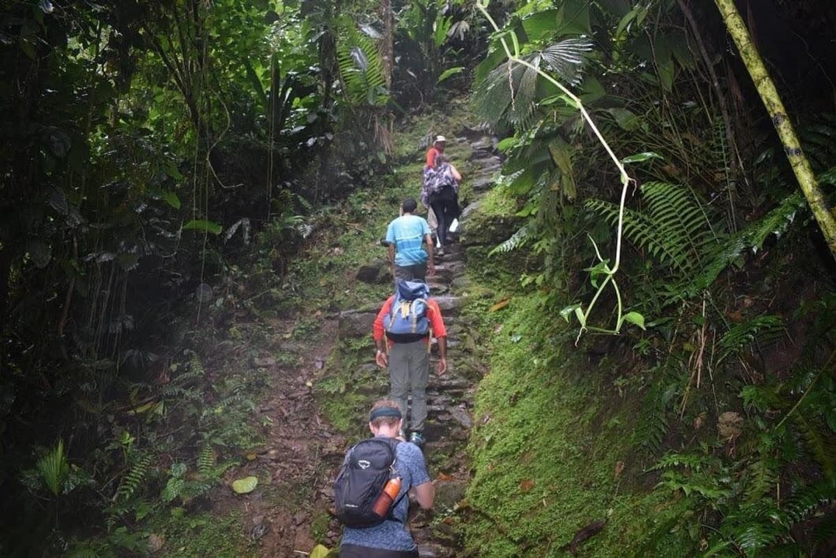 Trekking a Ciudad Perdida 5 Días desde Santa Marta