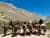 Cabalgata en el Valle del Elqui: Aventura en las Montañas y el Río