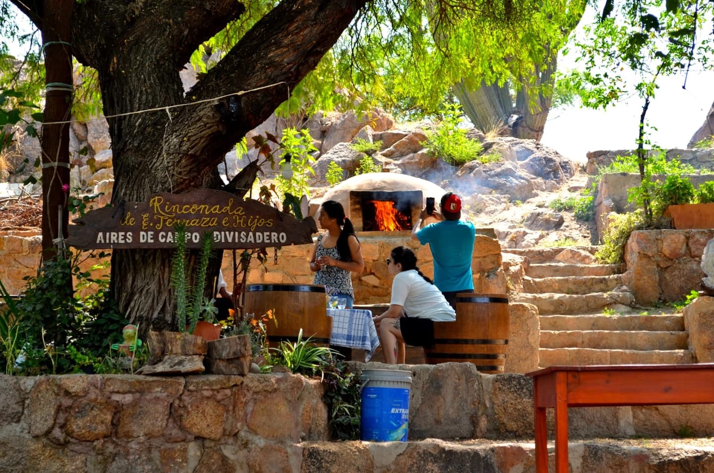 Experiencia de Vino y Naturaleza en Cafayate