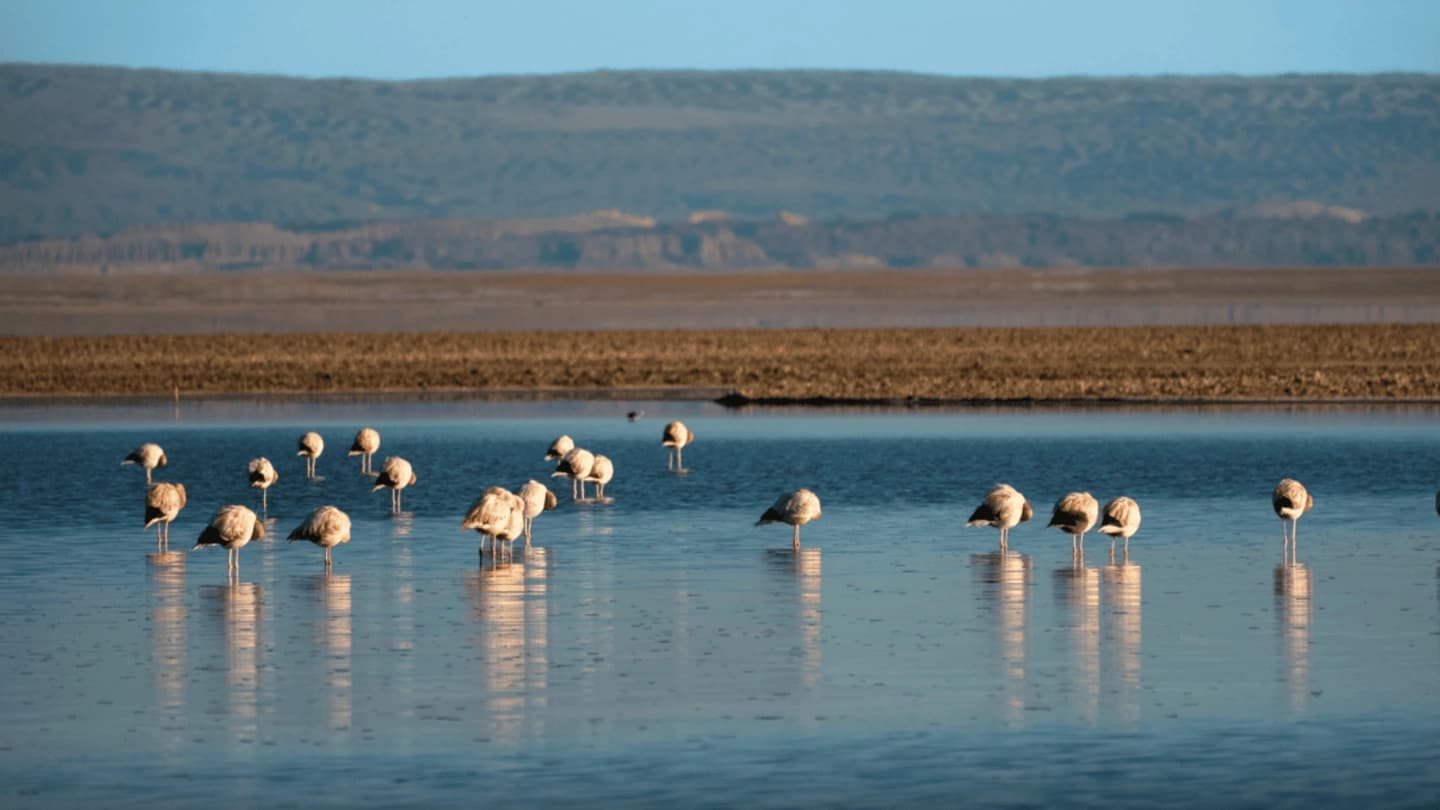 San Pedro de Atacama en 4 días: 5 tours imperdibles