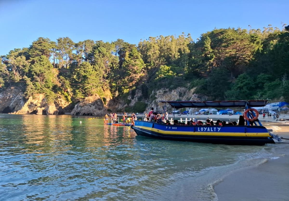 Paseo Náutico en Hualpén: Vida Marina y Cultura Costera