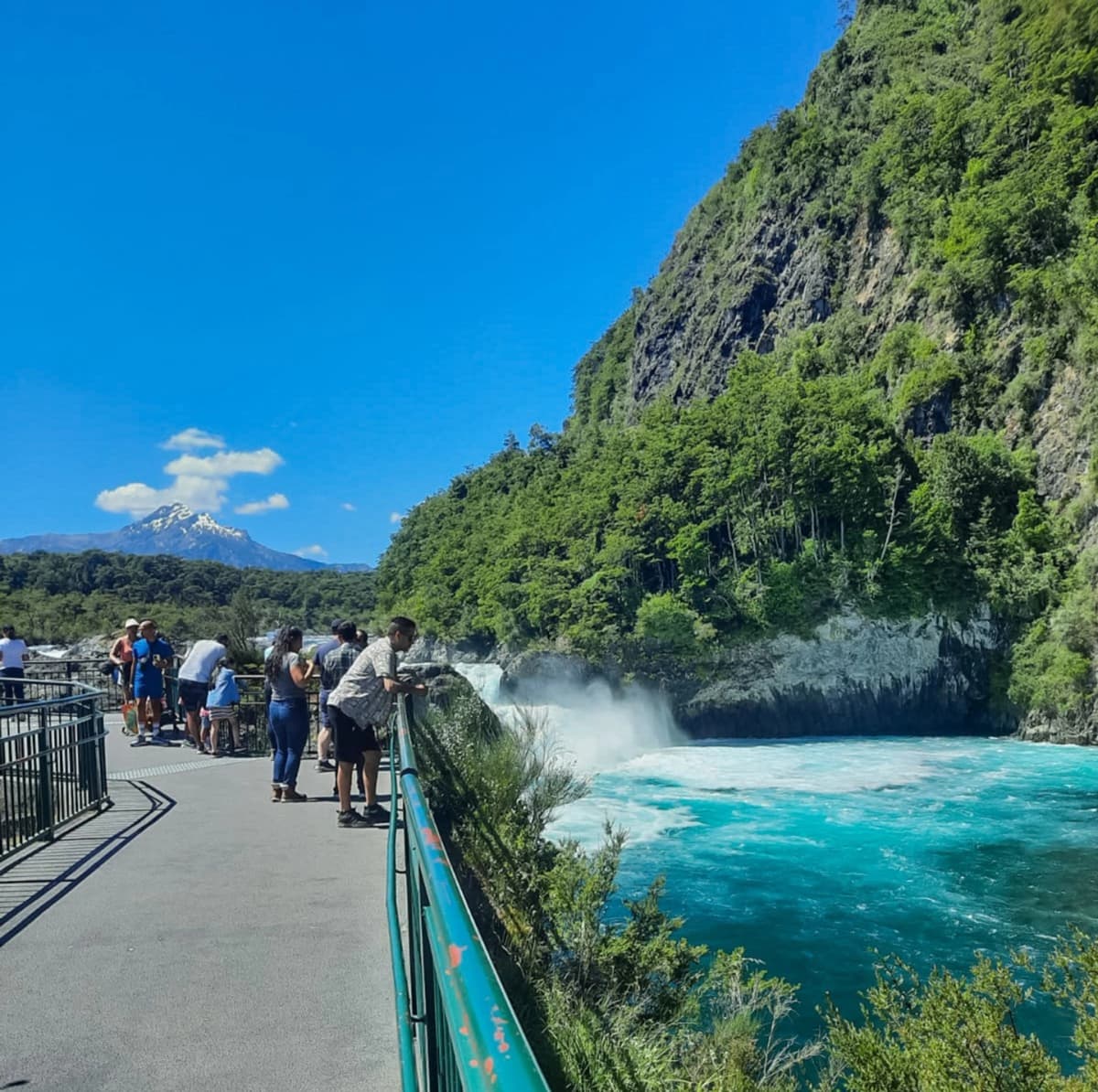 Explora los Saltos del Petrohué y Navega por el Lago Todos los Santos desde Valdivia