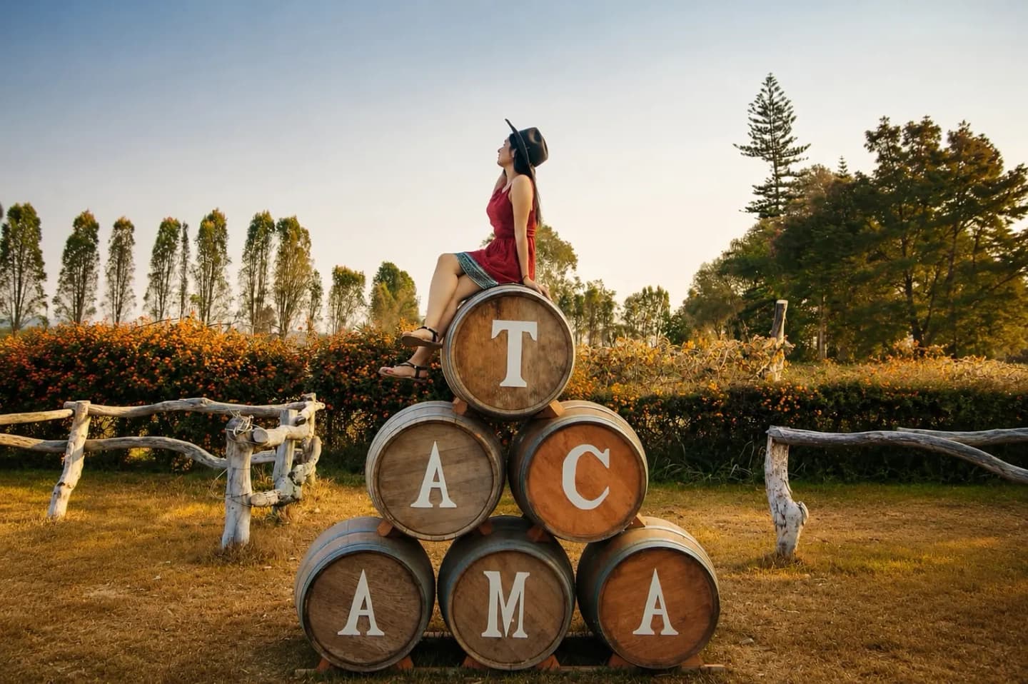 Tour Ruta del Pisco y Vino  en Ica
