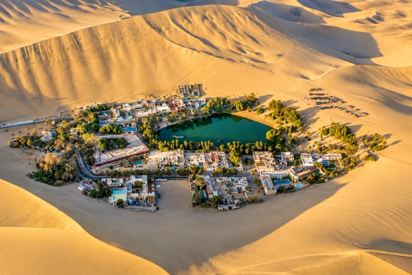 Experiencia Completa al Atardecer en Paracas y Huacachina