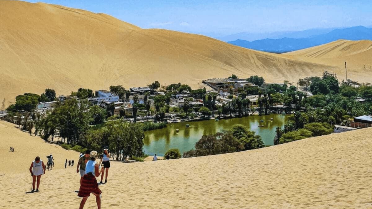 Full Day Paracas e Ica con Islas Ballestas y Huacachina desde Lima