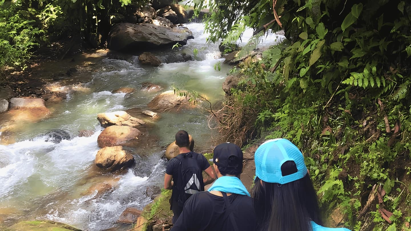 Excursión al río Anchicayá desde Cali con Desayuno y Almuerzo 