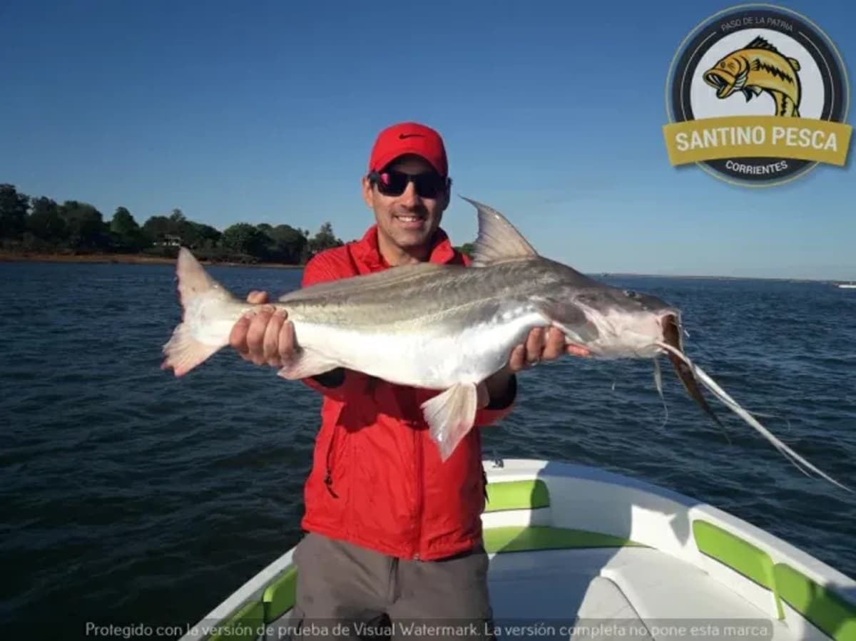 Pesca Deportiva en Paso de la Patria 2 pescadores