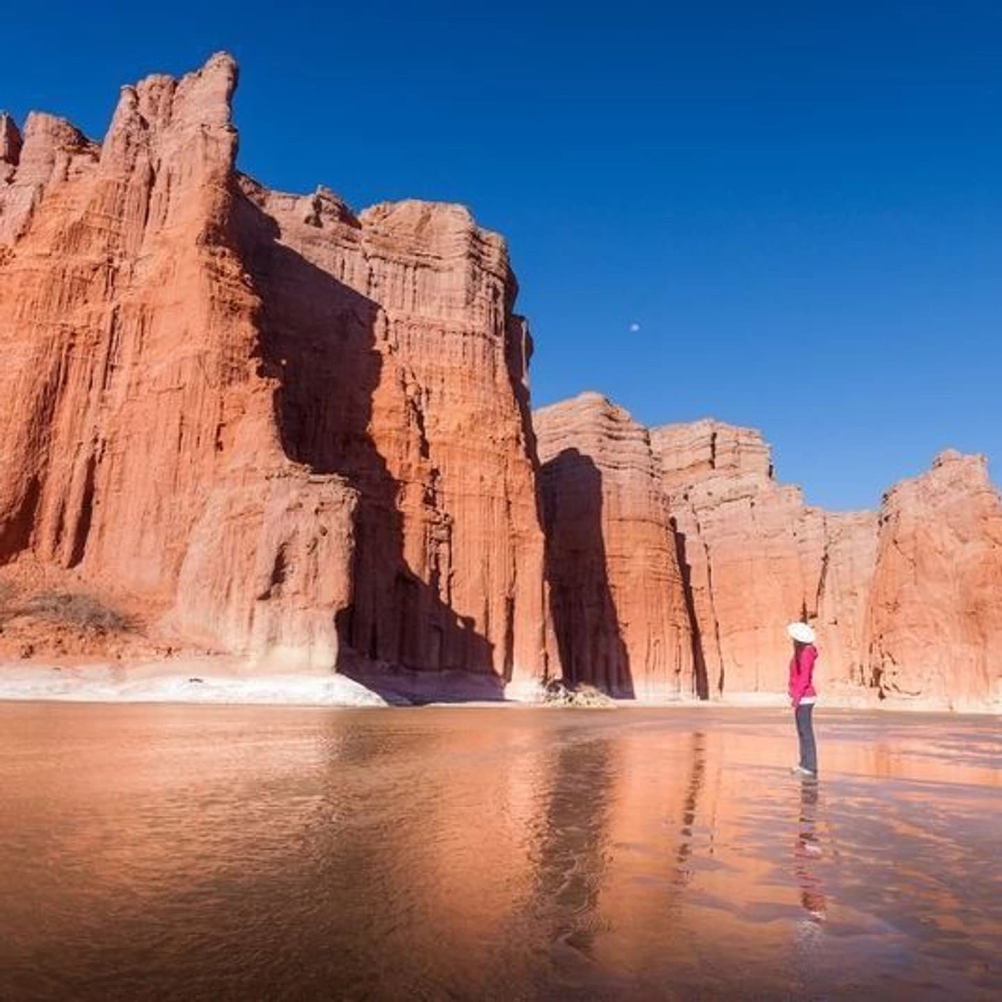Excursión a la Quebrada de las Conchas