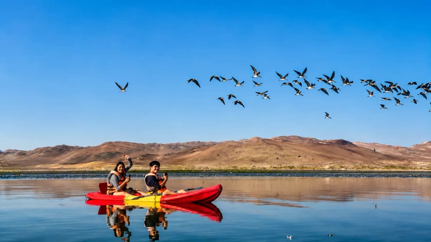 Kayak o Paddle Board al amanecer desde Paracas