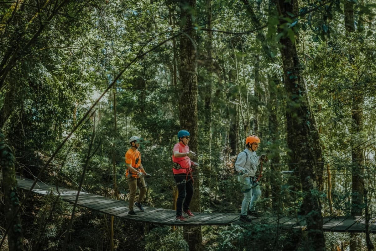 Canopy de 2Km: Vive la Aventura y Adrenalina en las Alturas del Lago Llanquihue
