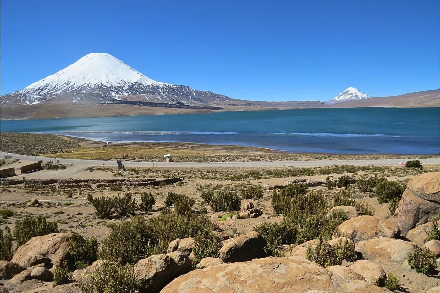 Full Day Tour to Lauca National Park from Arica