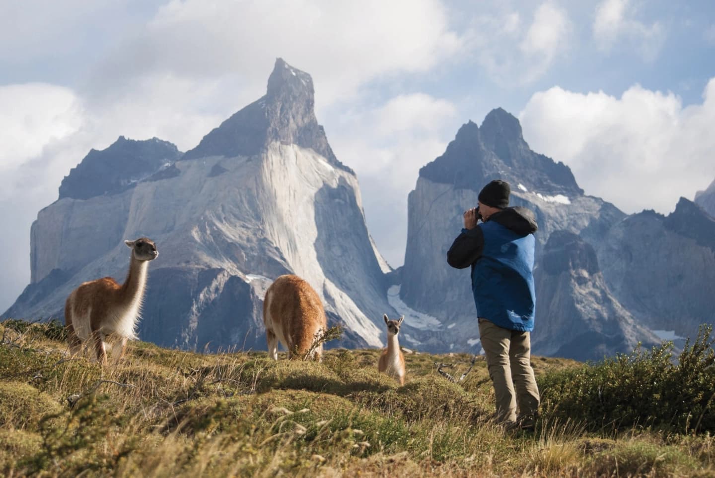 Excursión a Torres del Paine y Cueva del Milodón en un Día