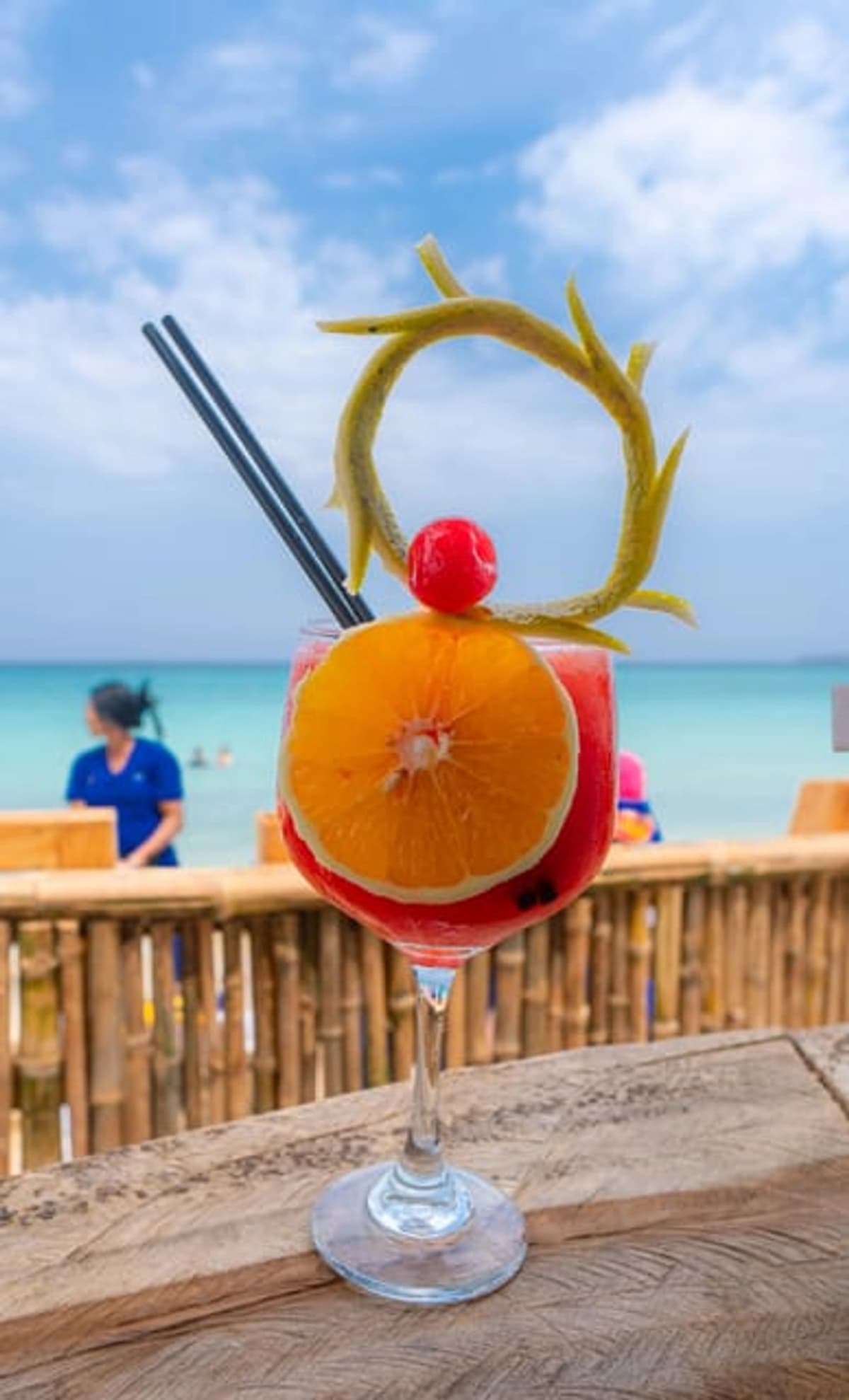 Cartagena: Excursión de un día Aviario y disfruta de Playa Blanca en autobús