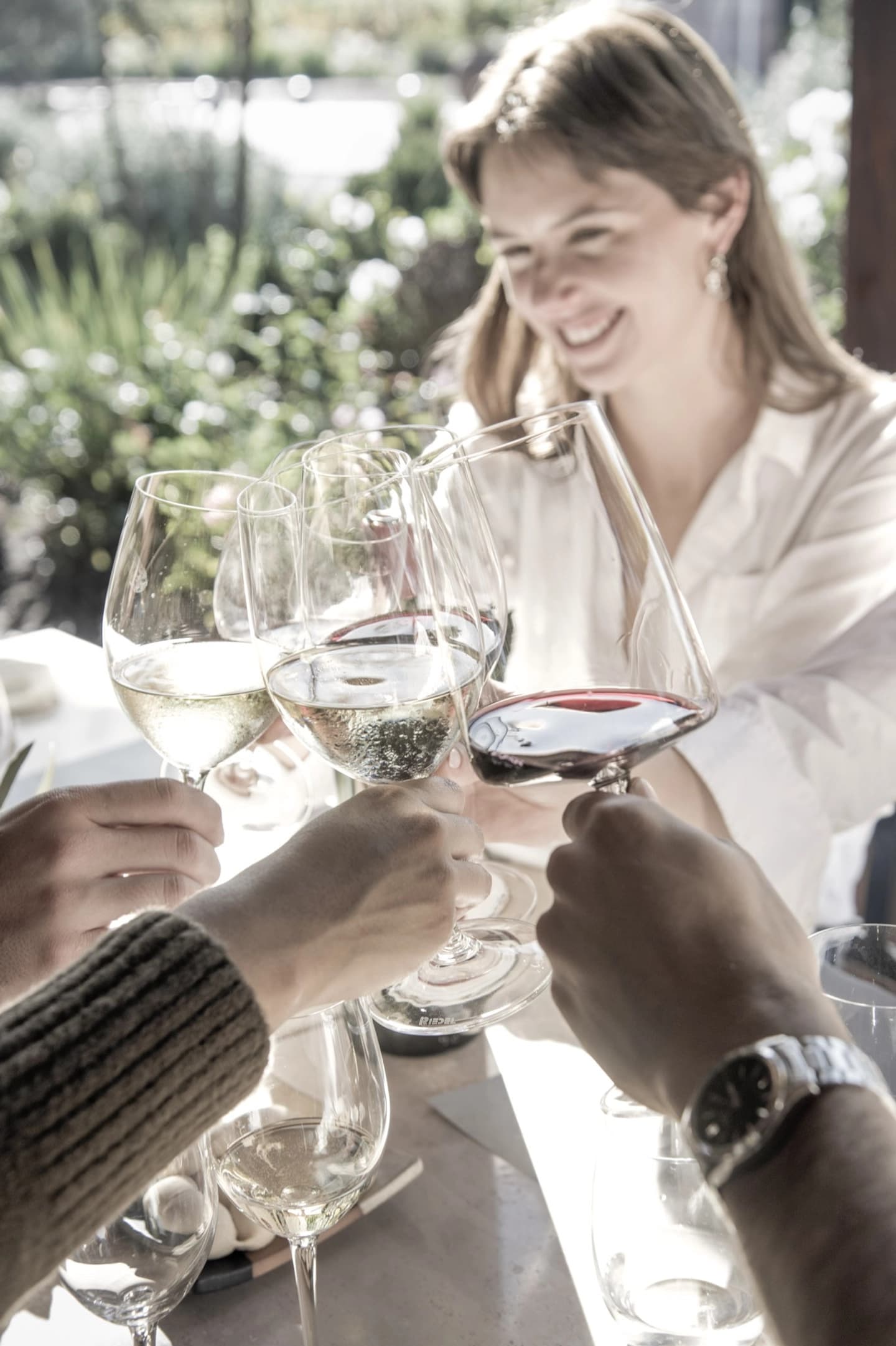 Tour y Degustación Privada en Viña Casas del Bosque con Selección de 5 Vinos