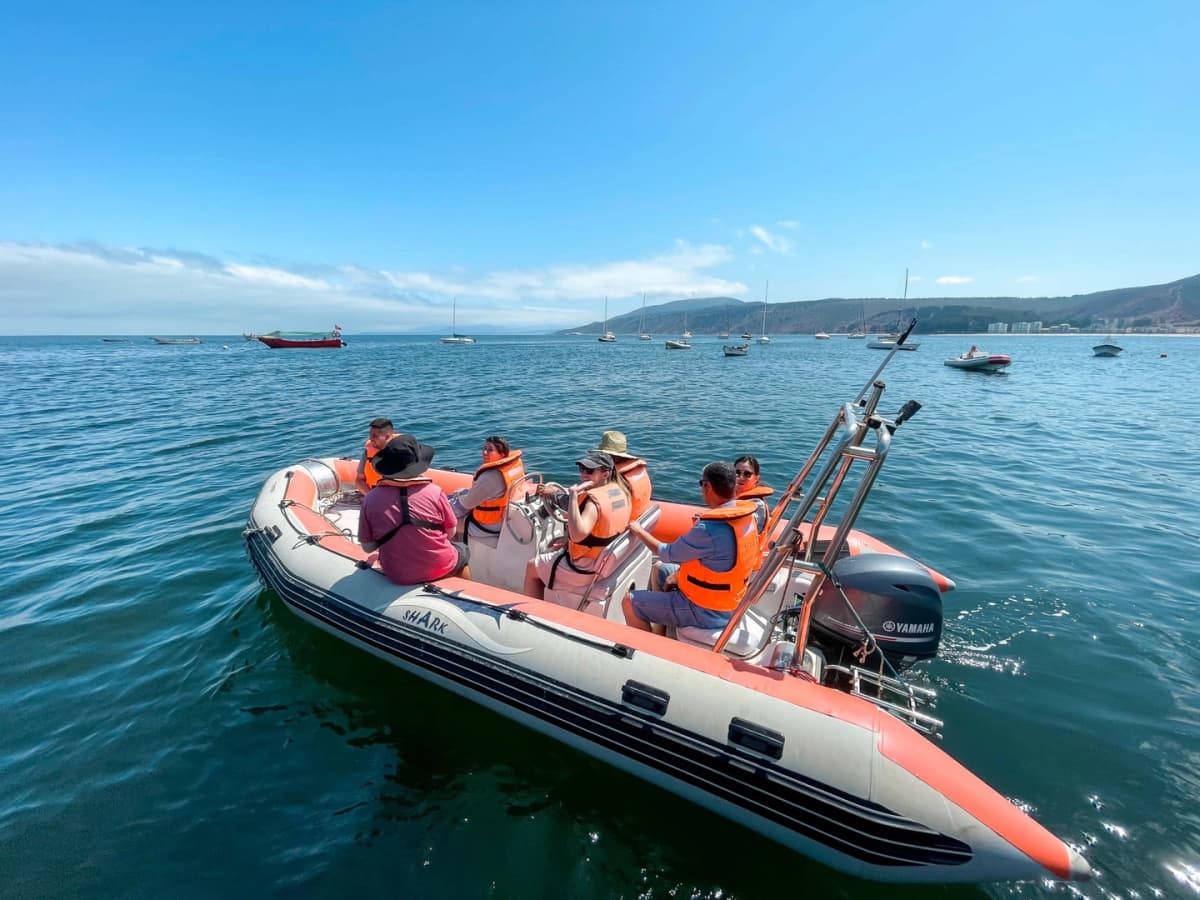 Papudo: Explora la Costa en Zodiac privado
