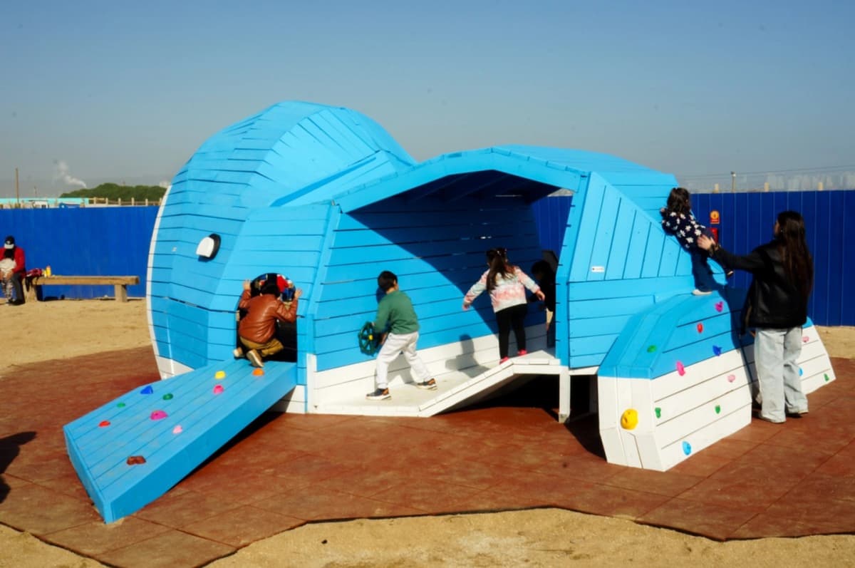 Visita el Acuario Vivamar en Ritoque con Actividades para Todas las Edades