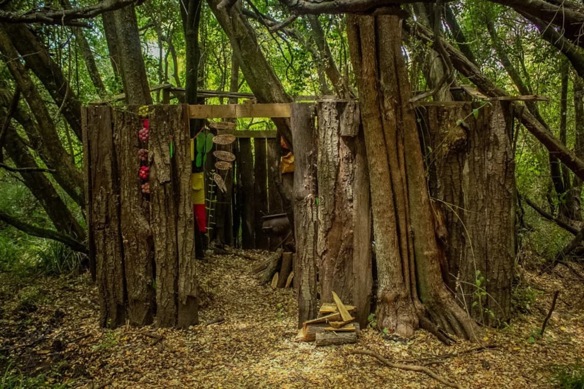 Caminata por el Bosque a Pasos de Los Saltos del Laja: Flora, Fauna y Encanto