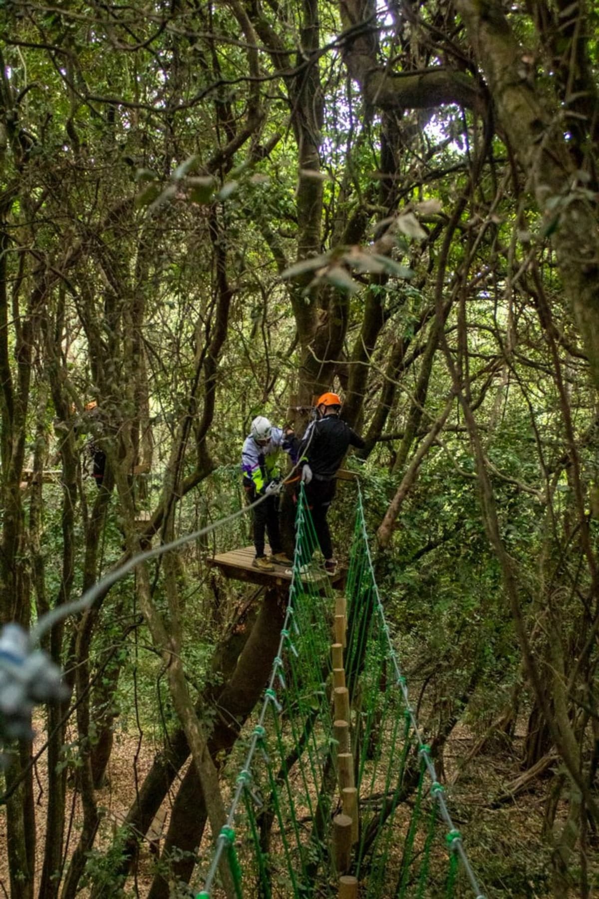 Parque Aéreo a pasos de Los Saltos del Laja: Deslízate hacia la Aventura