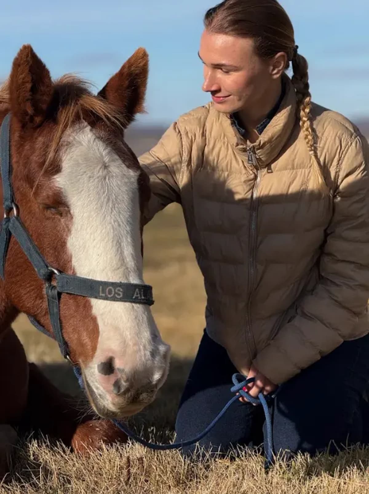 Cabalgata de Medio Día en Patagonia desde Puerto Natales