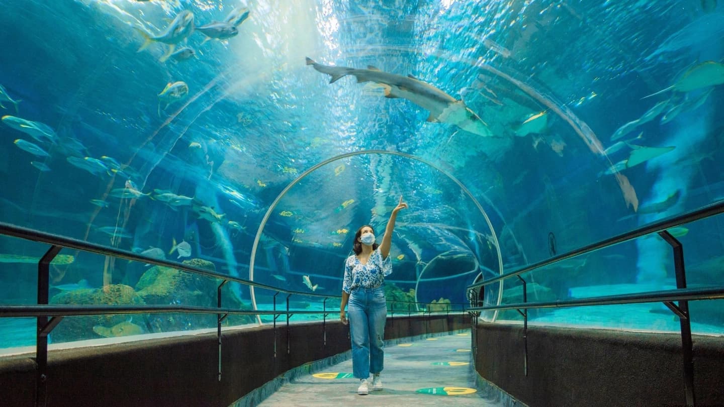 Half-Day Tour to AquaRio and Port Area from Rio de Janeiro