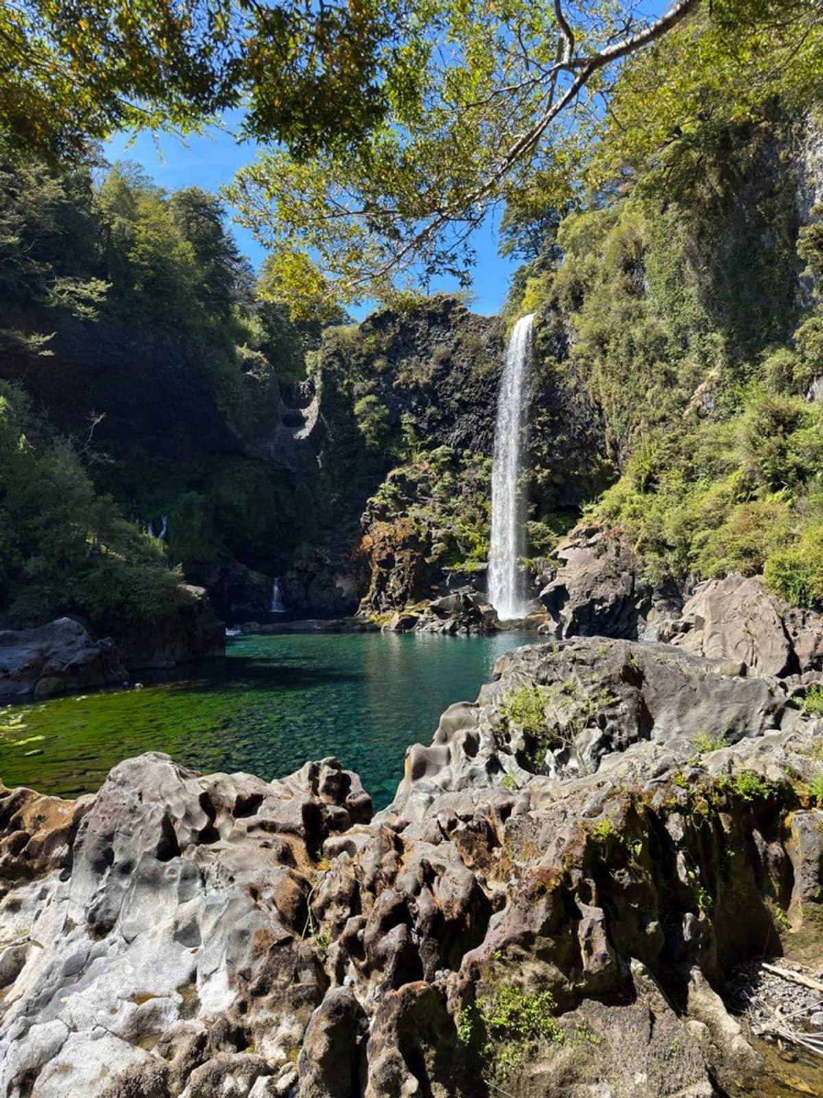 Full Day Huilo Huilo Tour from Pucón: Nature & Waterfalls