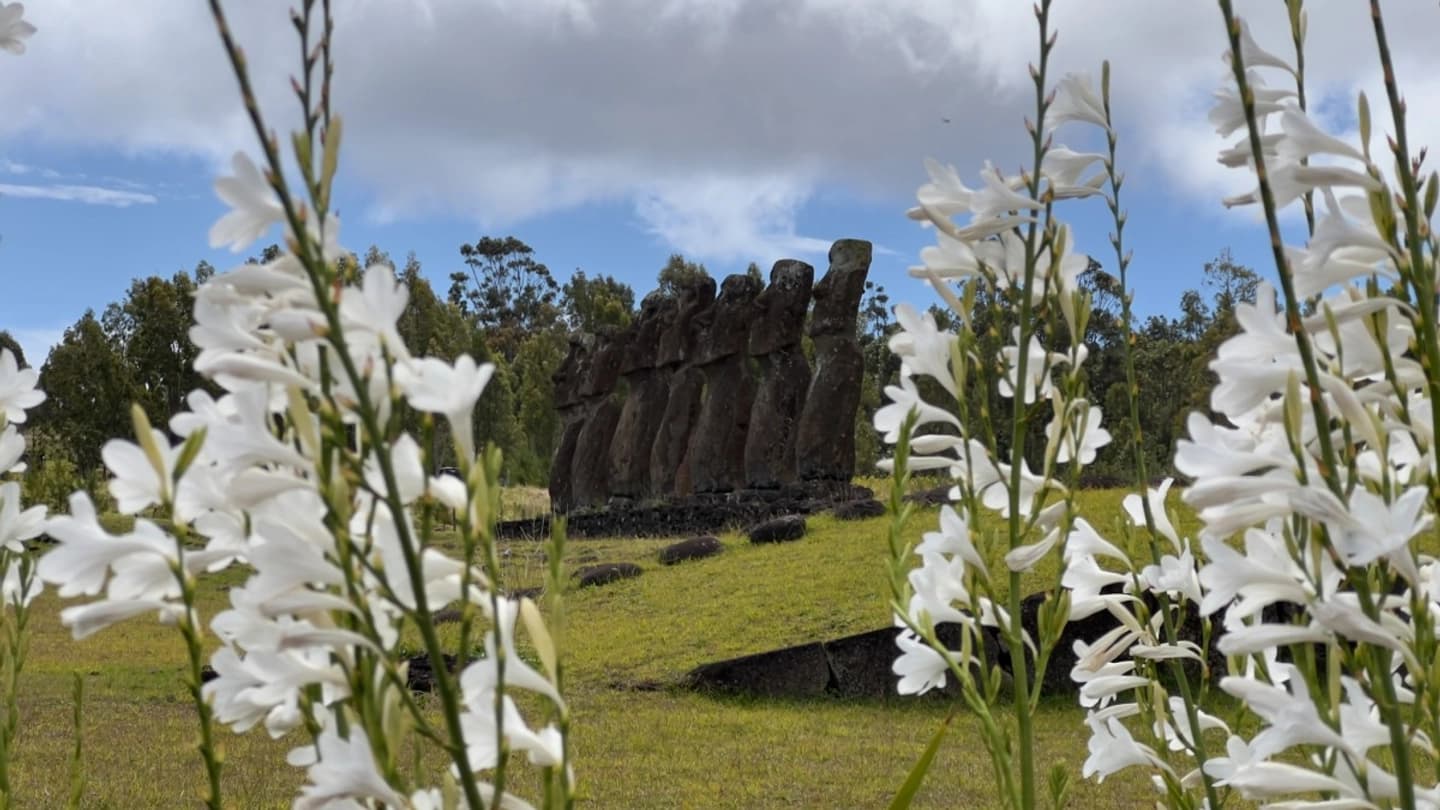 Tour Mediodía en Rapa Nui: El Origen de la Cultura en la Isla
