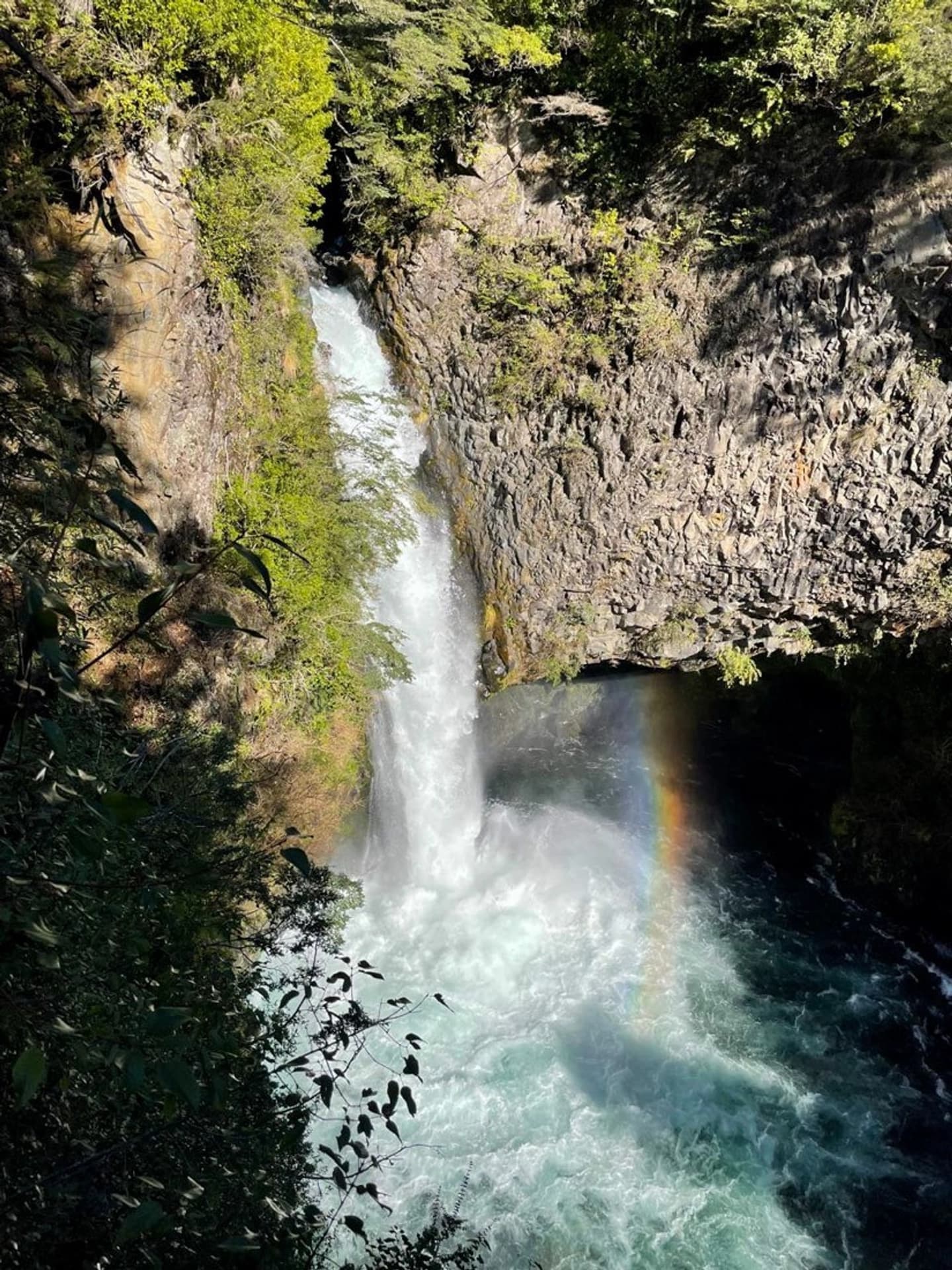 Tour de Cascadas en Pucón: Palguín, La China y El León