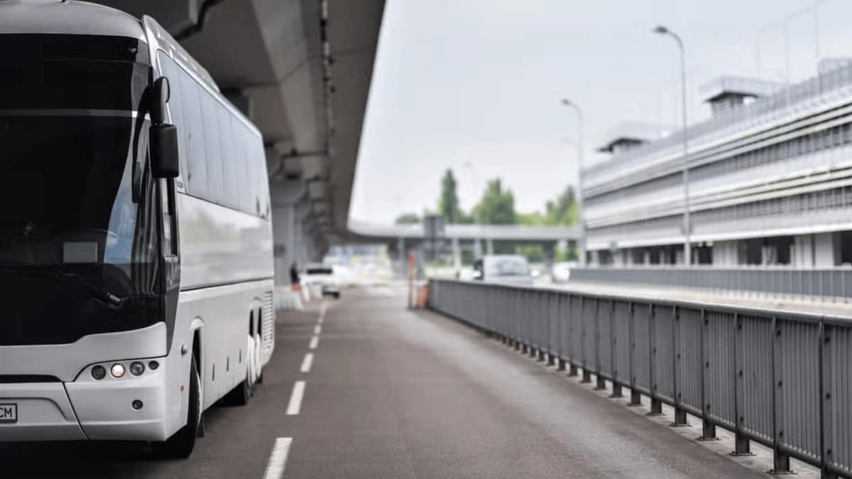 Traslado entre Aeropuerto de Porto Seguro y Santa Cruz Cabrália