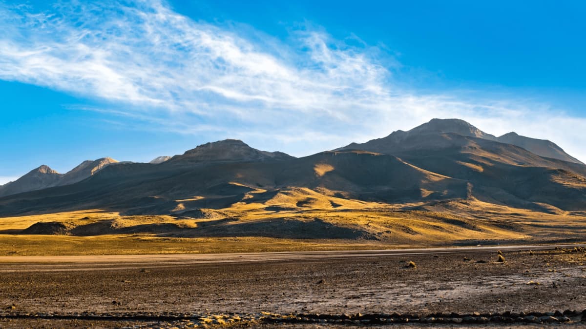 Excursión Reserva Salinas y Aguada Blanca desde Arequipa
